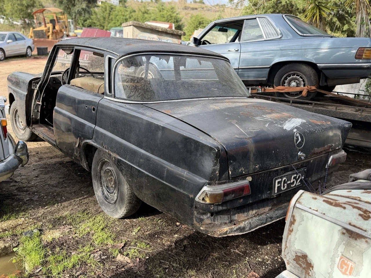 IMG_5232 – grande.jpeg