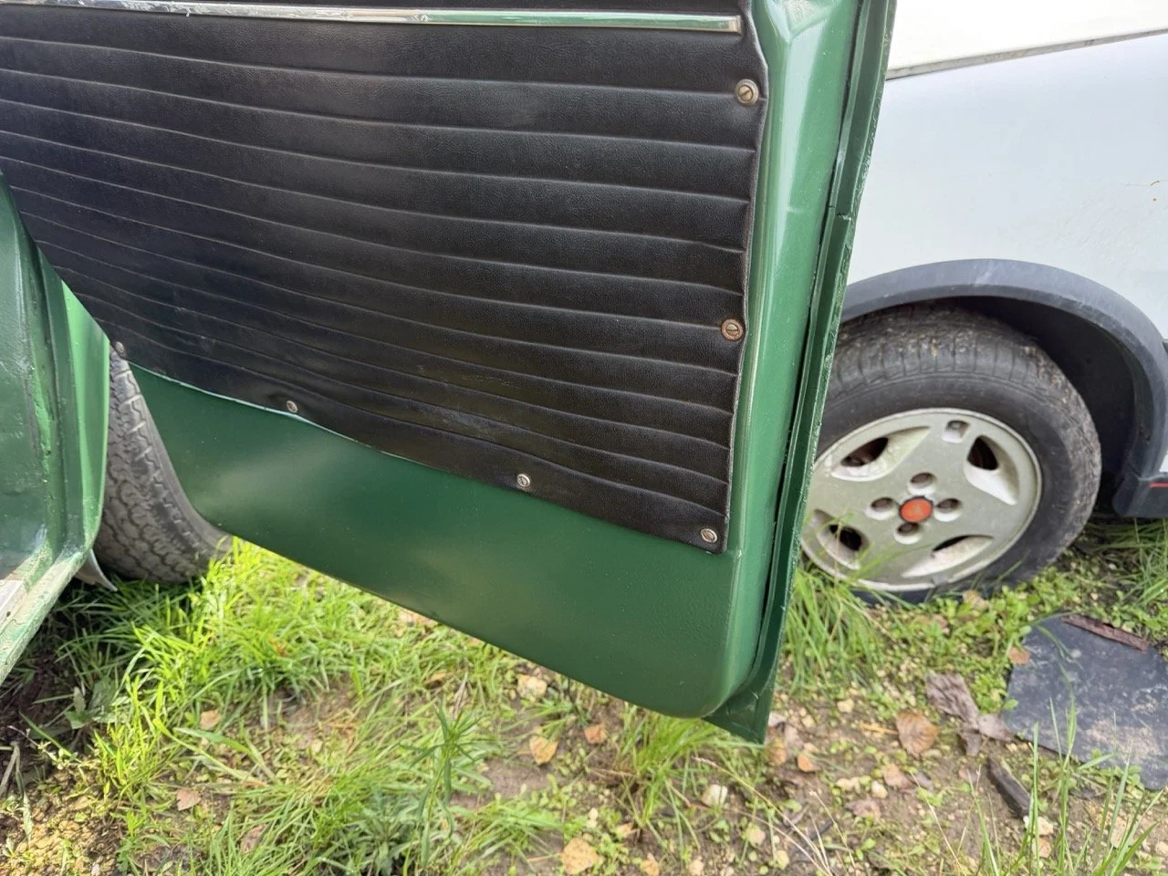 IMG_3930 – grande.jpeg