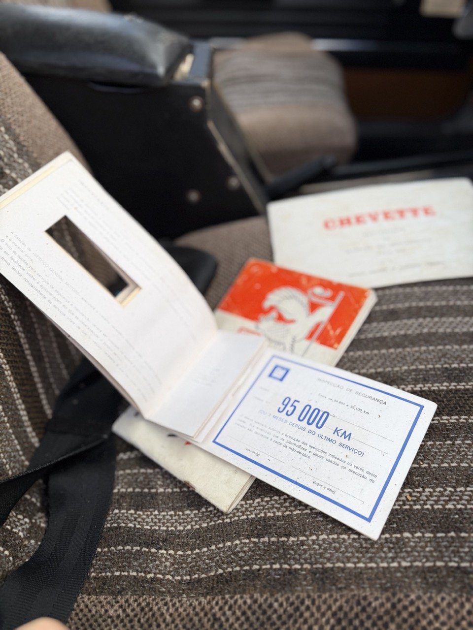 IMG_8738 – grande.jpeg