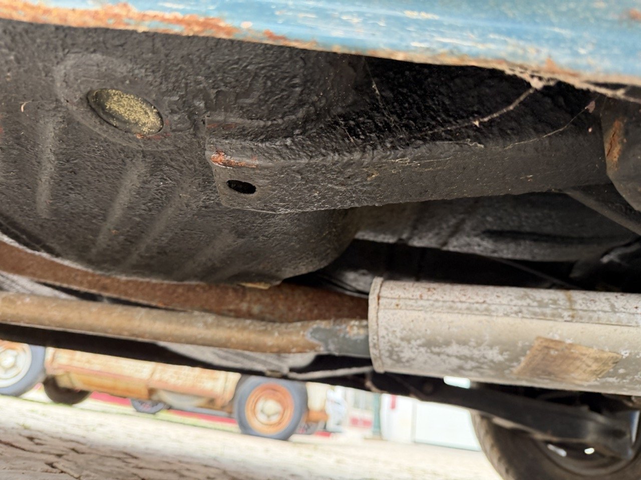 IMG_6352 – grande.jpeg