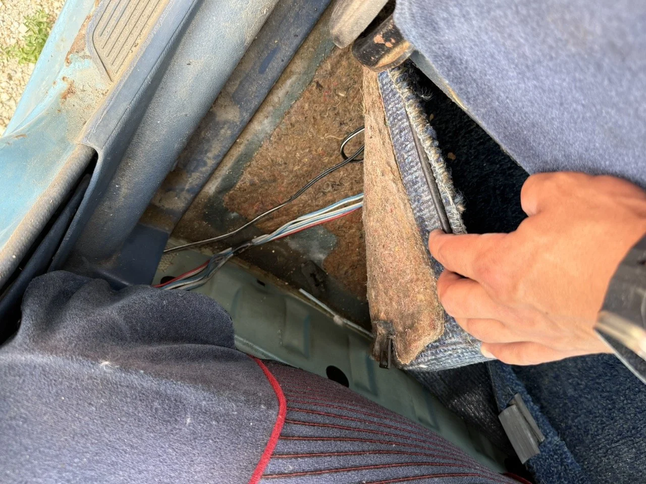 IMG_1529 – grande.jpeg