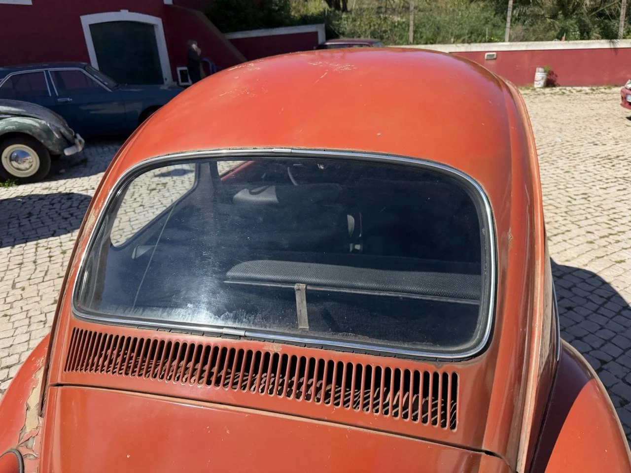 IMG_7584 – grande.jpeg