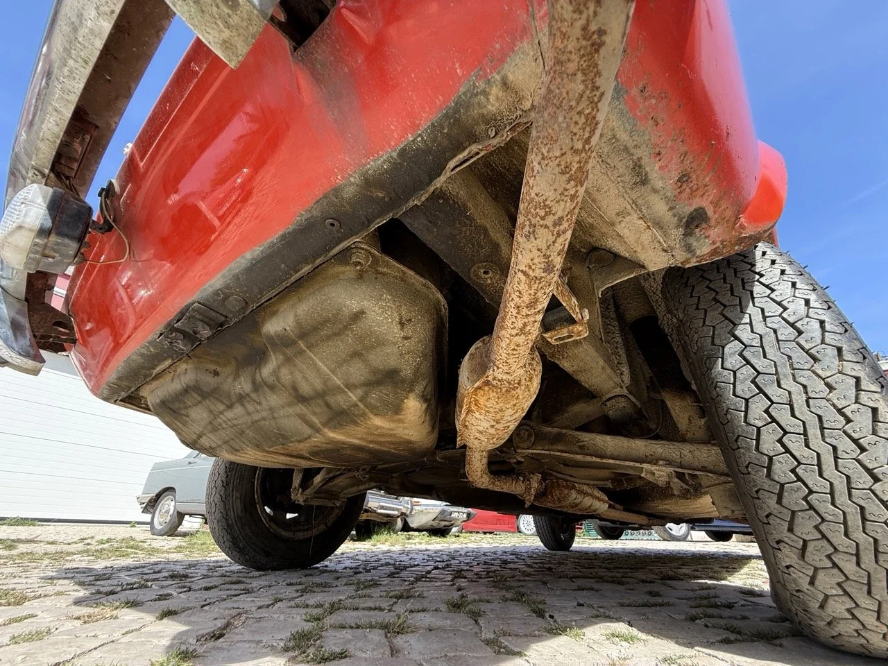 IMG_2364 – grande.jpeg