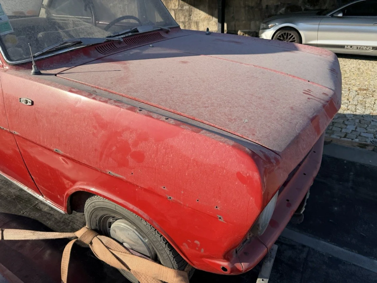 IMG_9059 – grande.jpeg