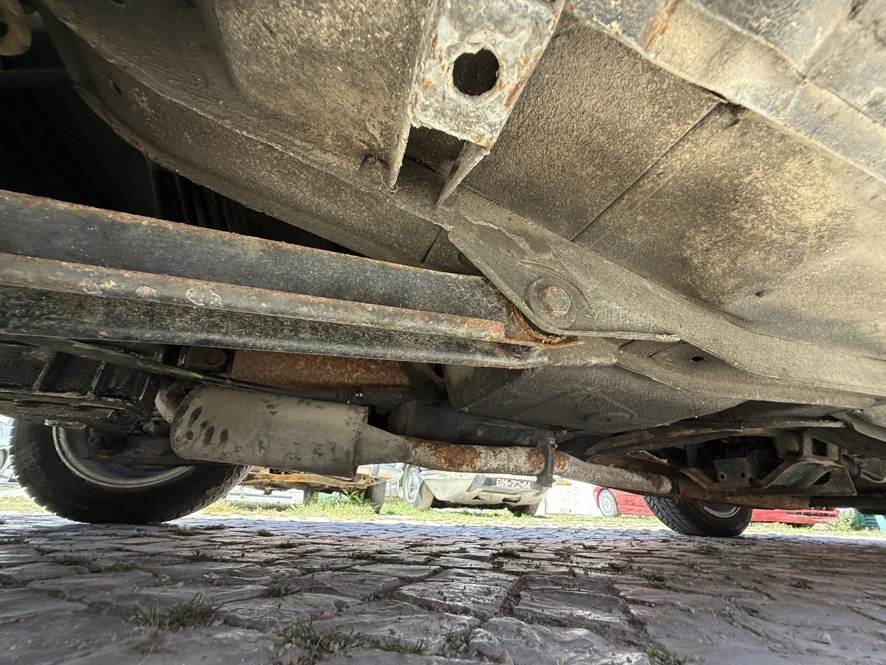 IMG_2235 – grande.jpeg