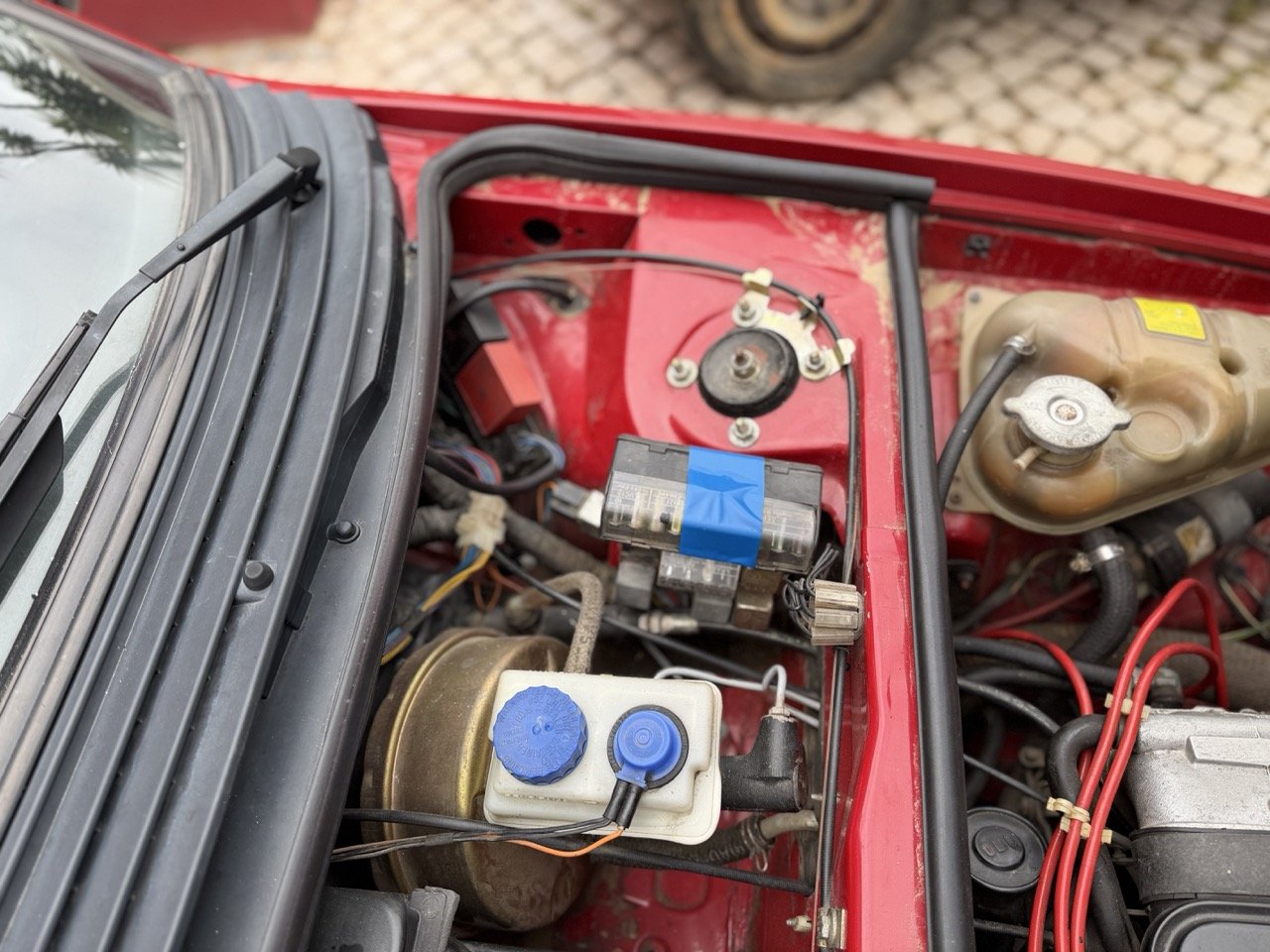 IMG_3477 – grande.jpeg