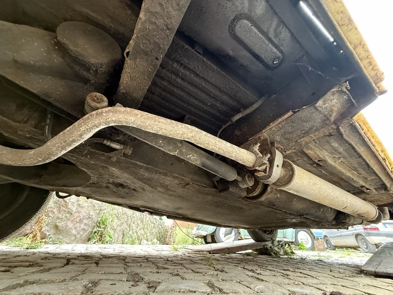 IMG_3813 – grande.jpeg