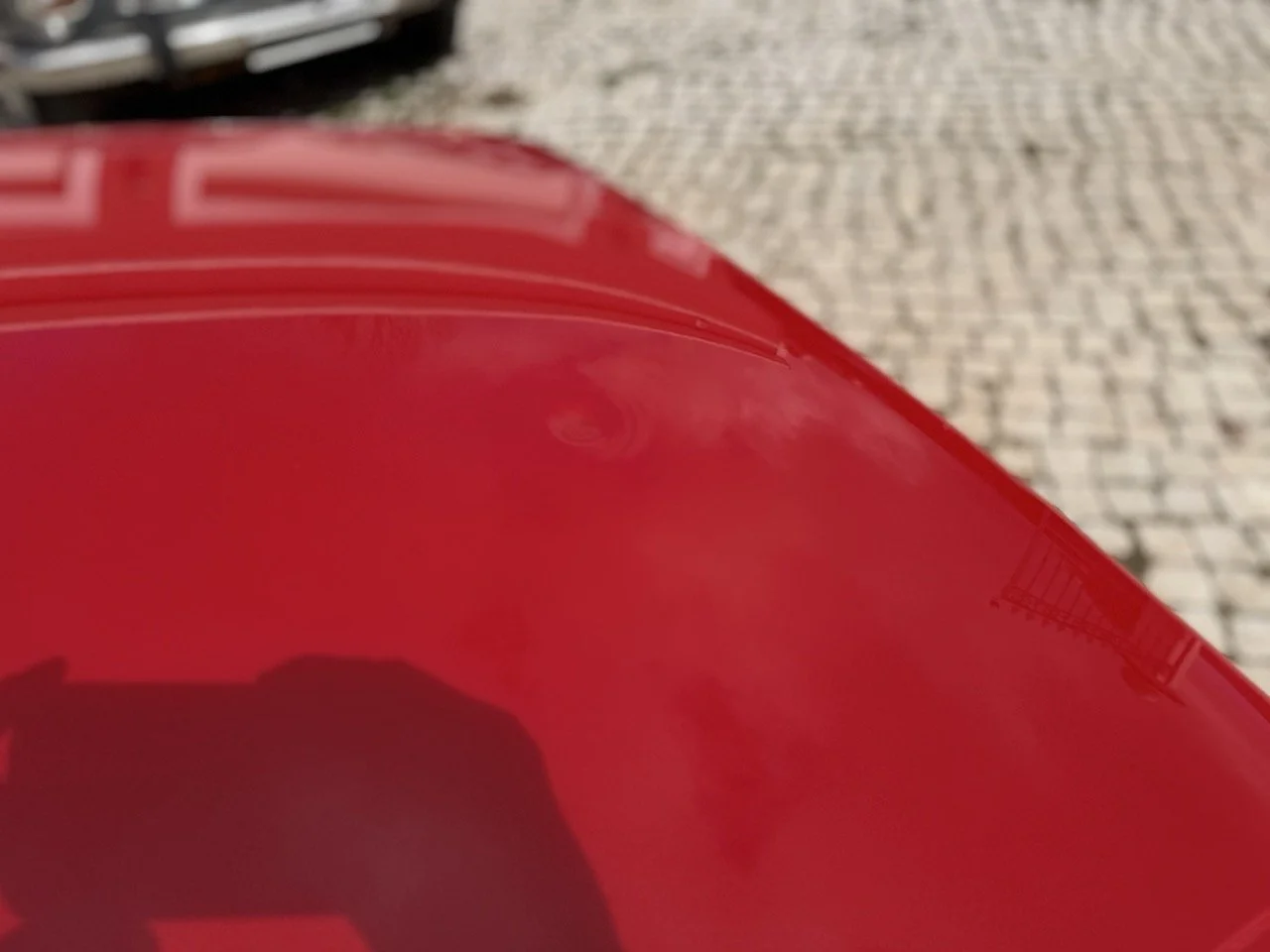 IMG_2383 – grande.jpeg