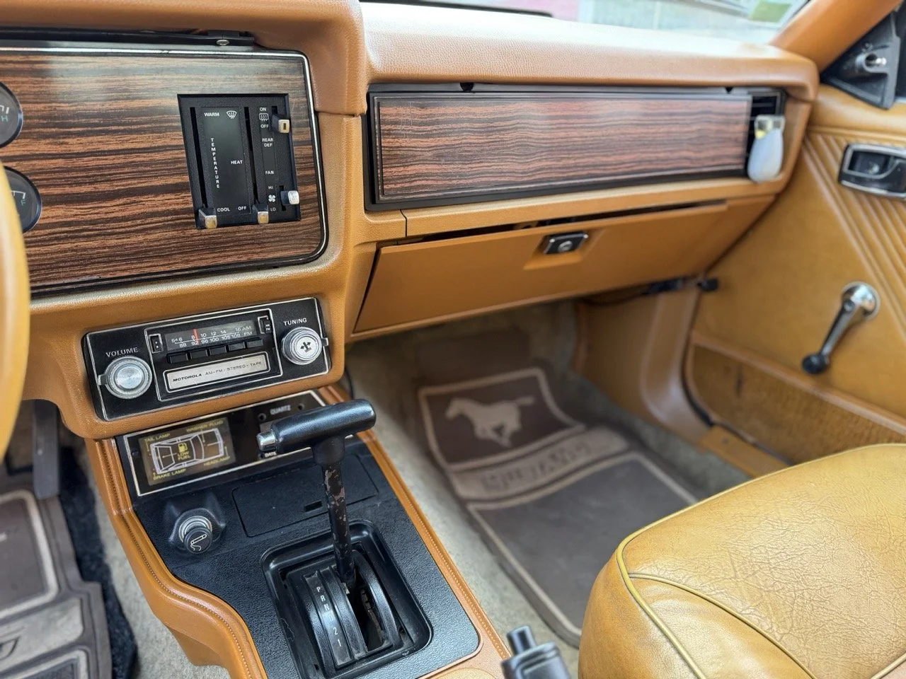 IMG_4171 – grande.jpeg