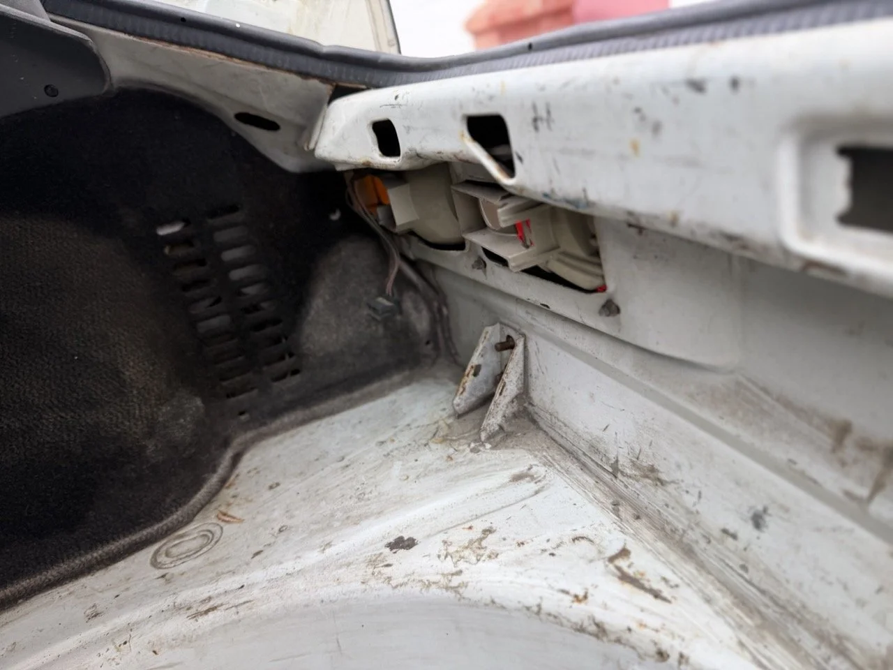 IMG_1292 – grande.jpeg