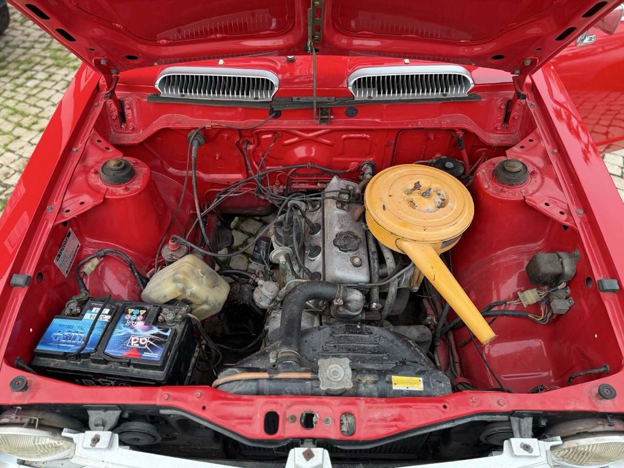 IMG_8251 – grande.jpeg