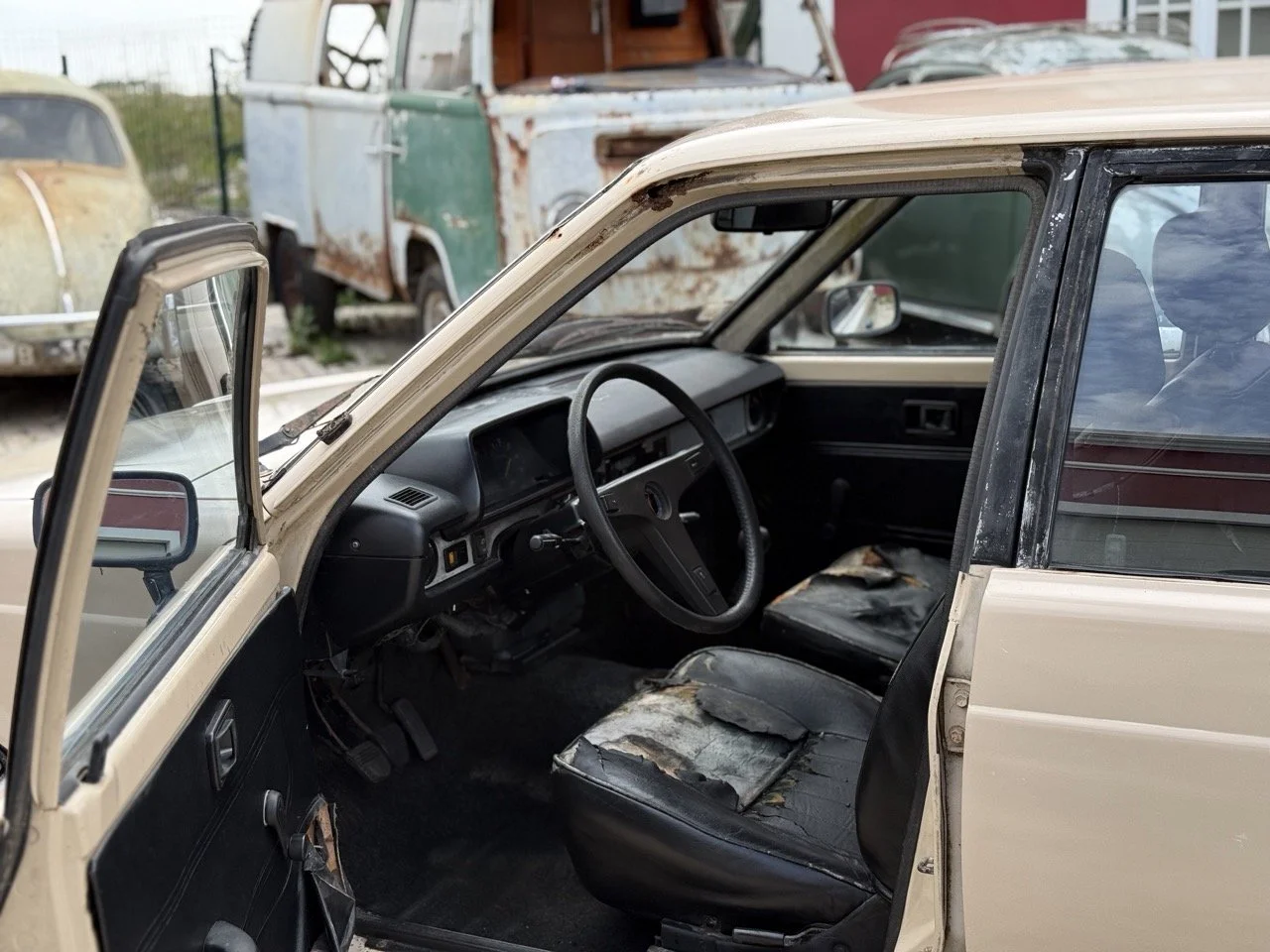 IMG_8689 – grande.jpeg