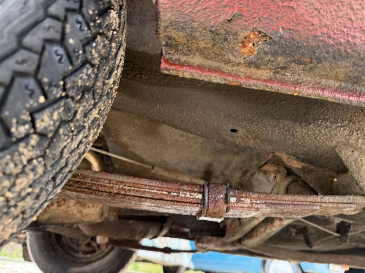 IMG_9670 – grande.jpeg