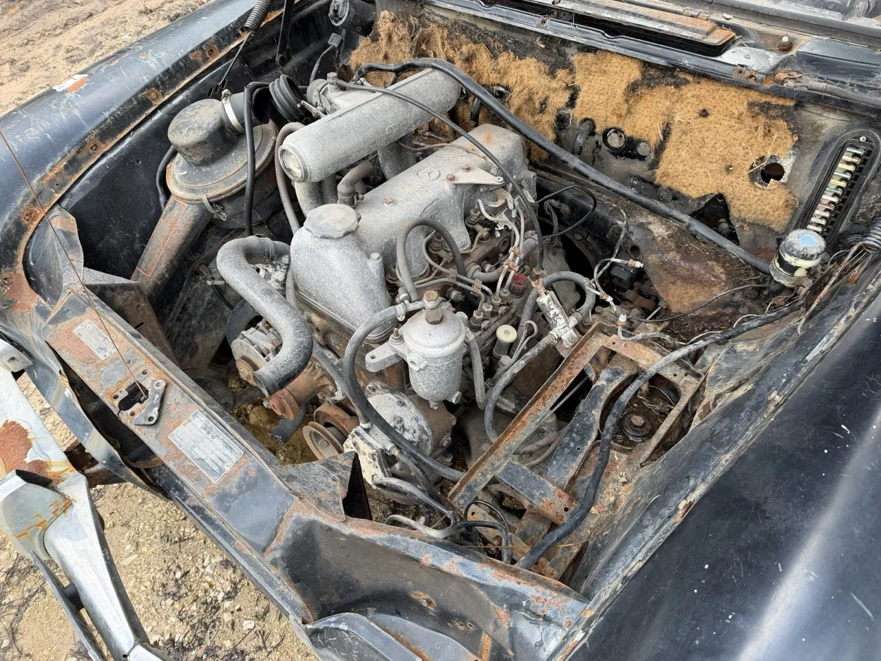 IMG_1946 – grande.jpeg