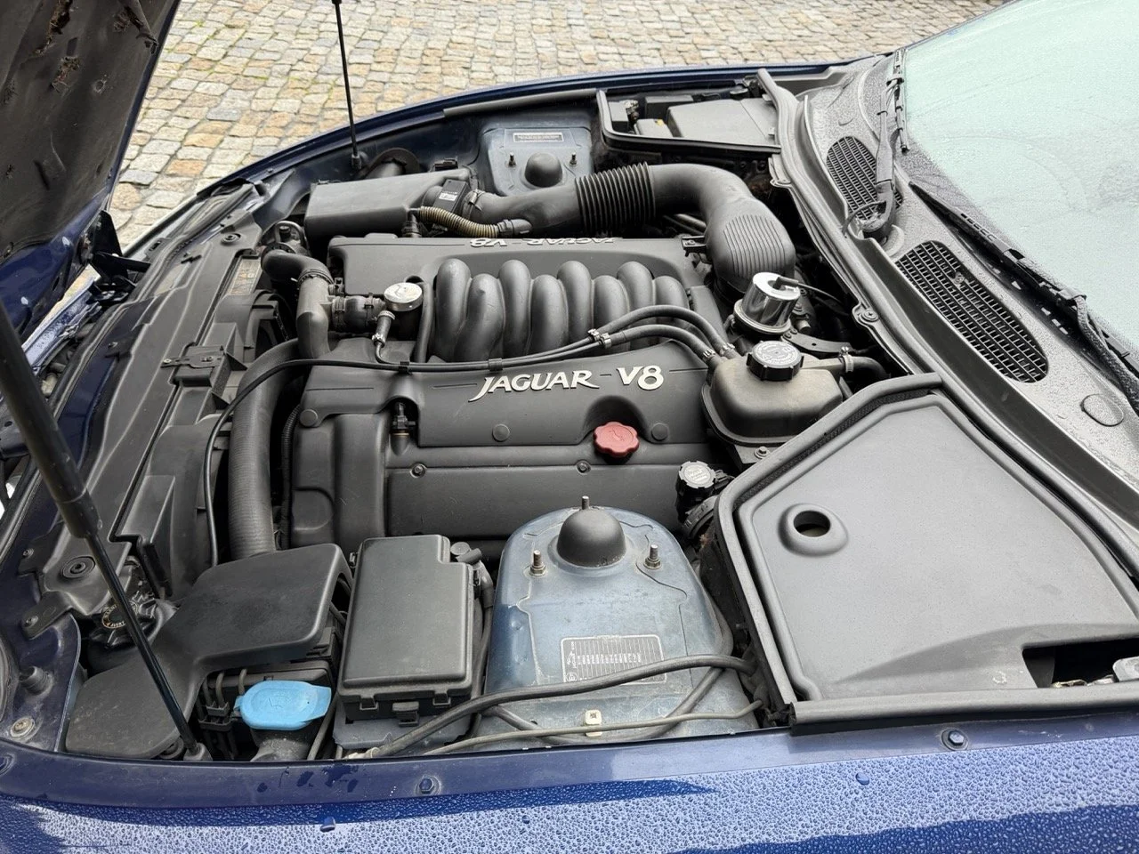 IMG_3643 – grande.jpeg