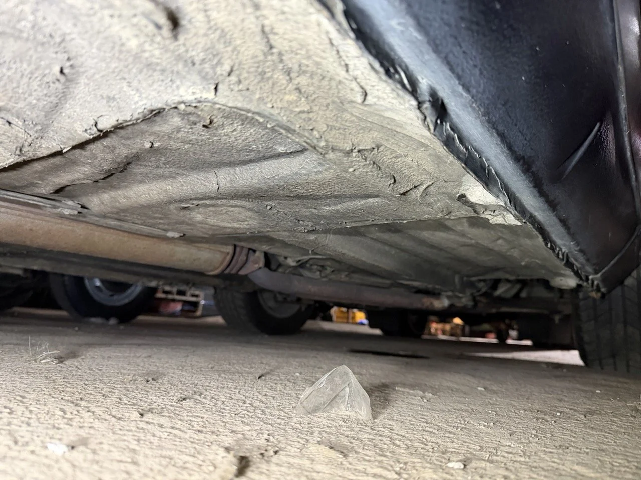 IMG_4813 3 – grande.jpeg