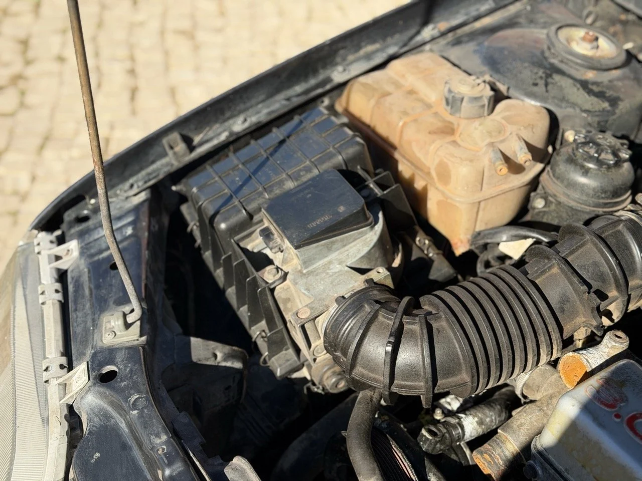 IMG_2755 – grande.jpeg