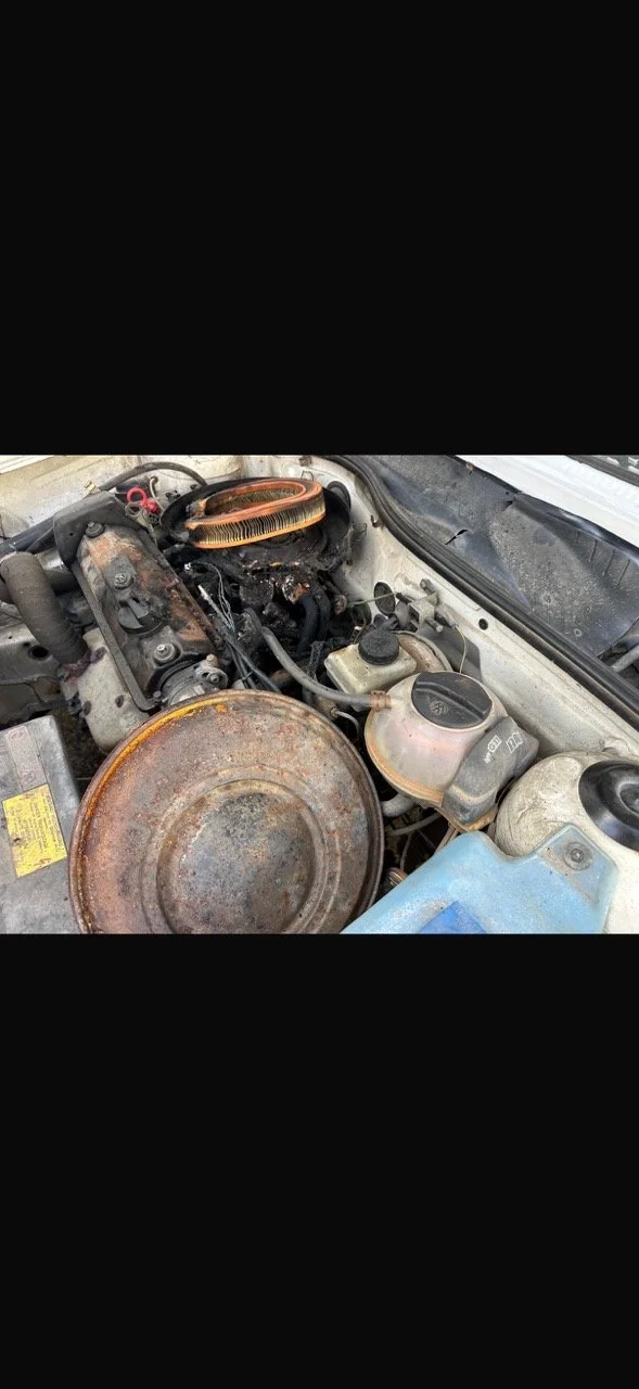 IMG_5268 – grande.jpeg