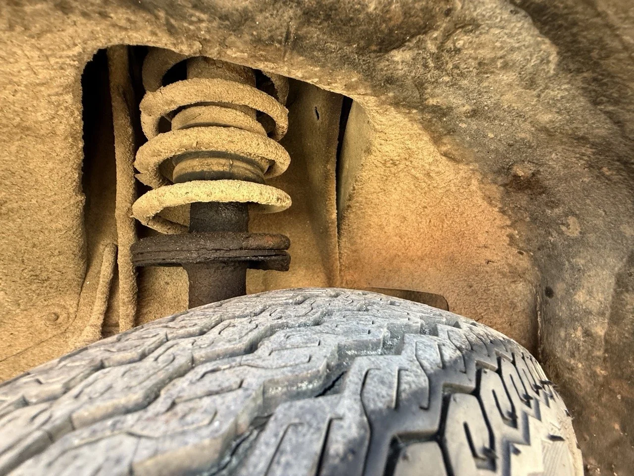 IMG_2377 – grande.jpeg