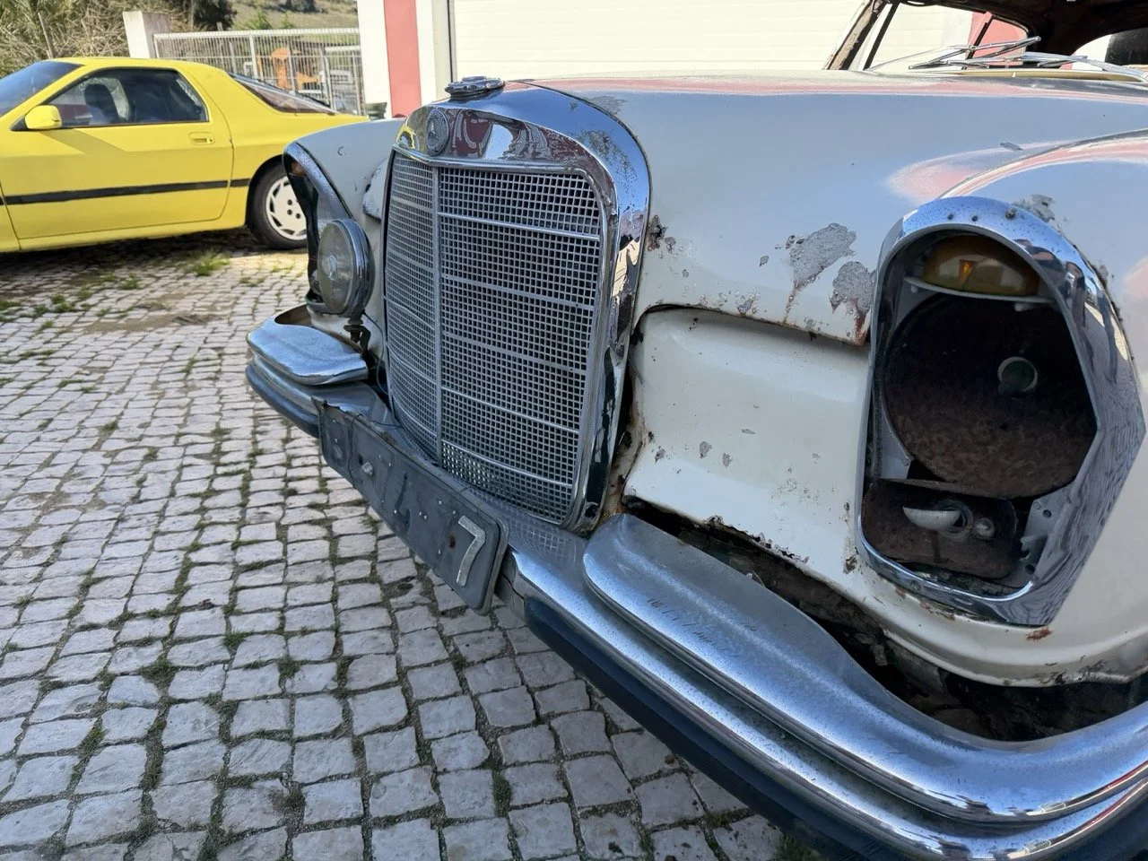 IMG_7033 – grande.jpeg