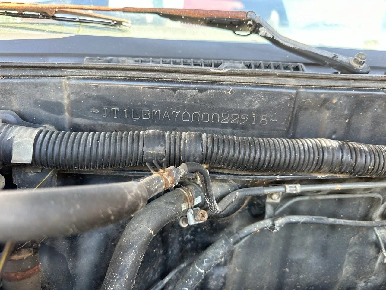 IMG_3071 – grande.jpeg