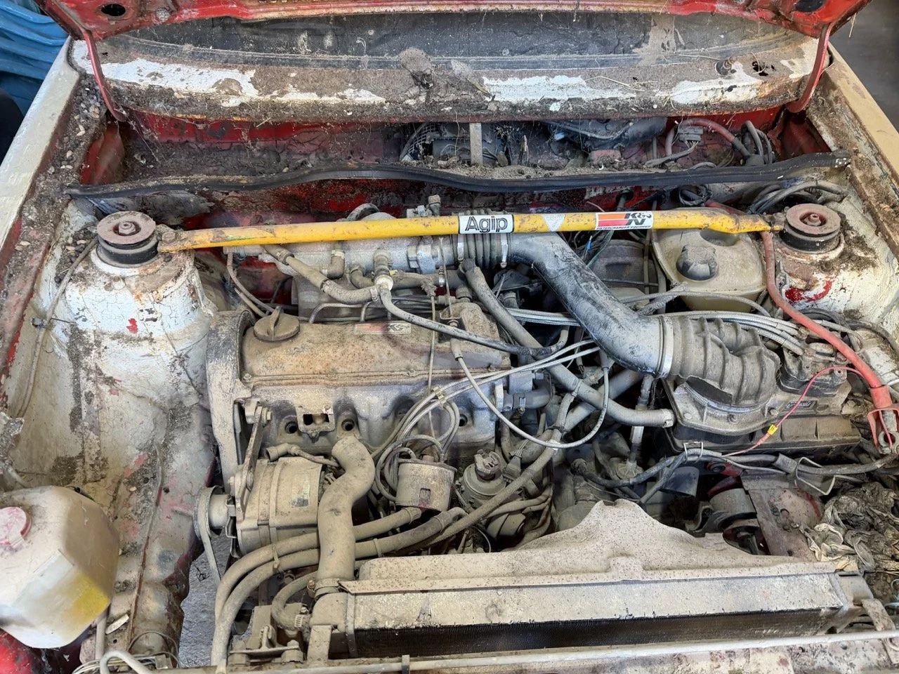 IMG_1432 – grande.jpeg