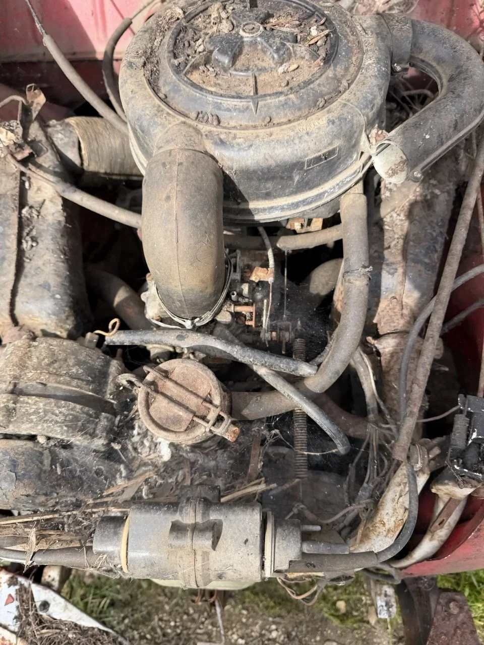 IMG_3868 – grande.jpeg