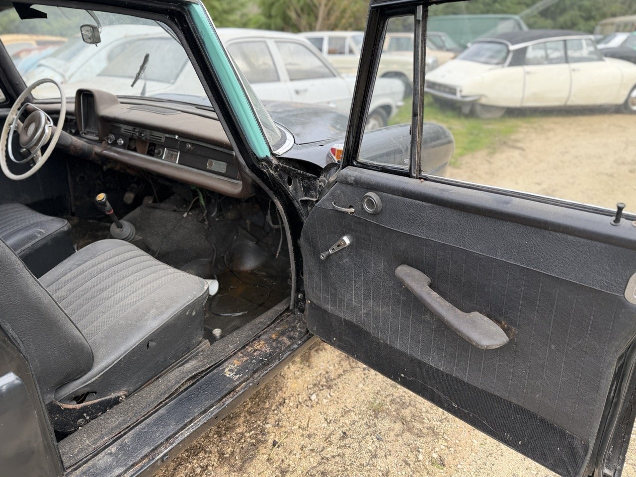 IMG_5025 – grande.jpeg