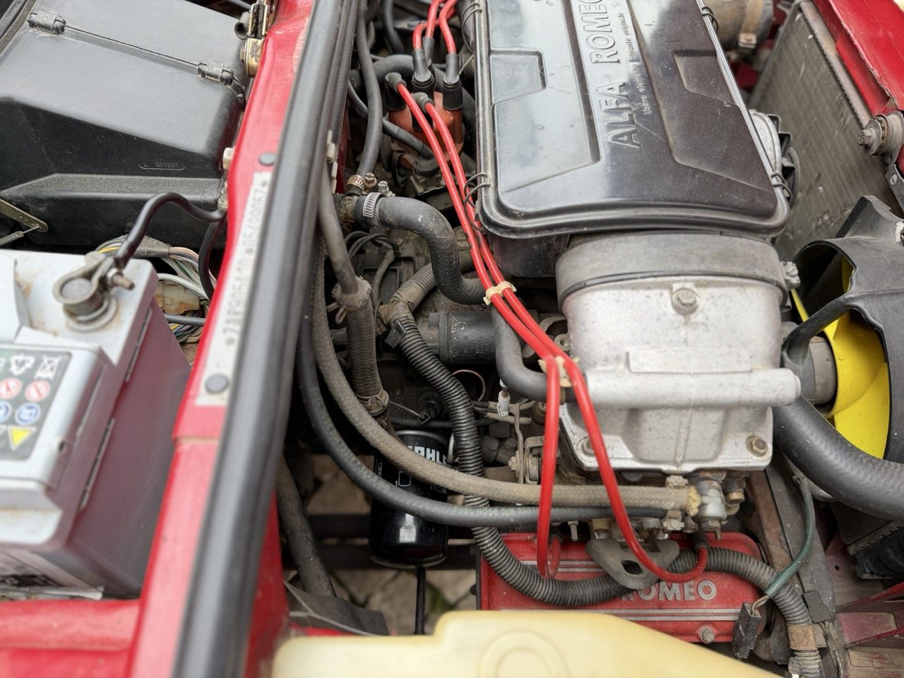 IMG_3476 – grande.jpeg