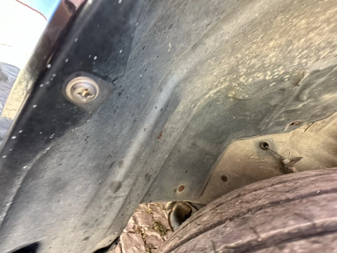 IMG_3139 – grande.jpeg