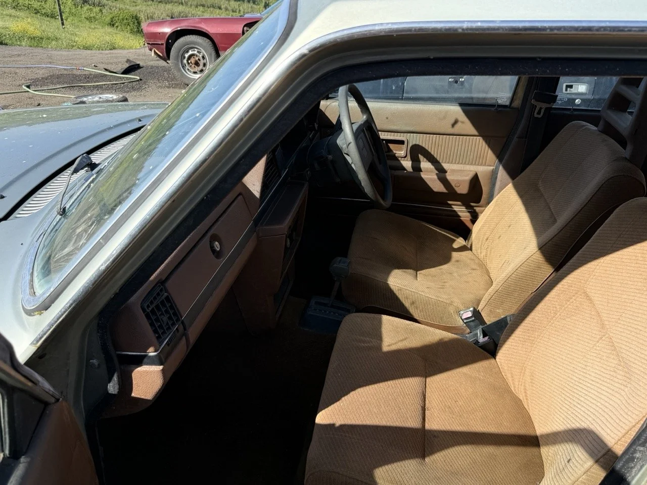 IMG_1174 – grande.jpeg