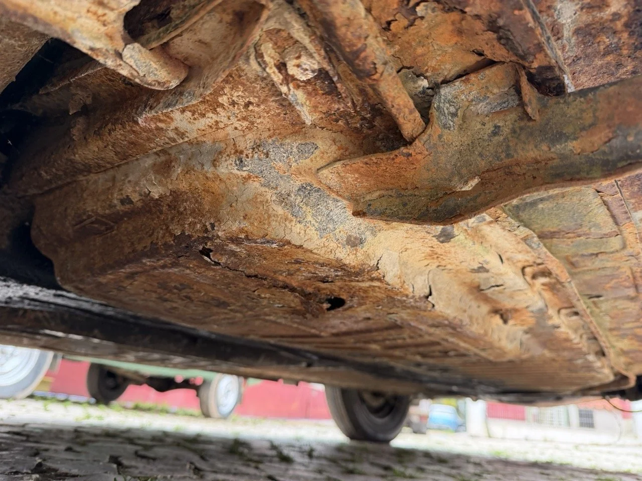 IMG_1227 – grande.jpeg