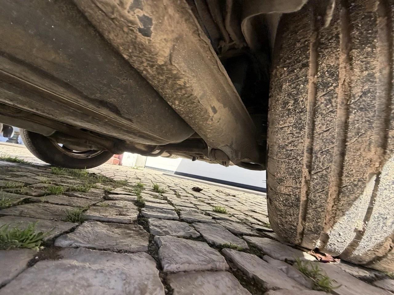 IMG_2054 – grande.jpeg