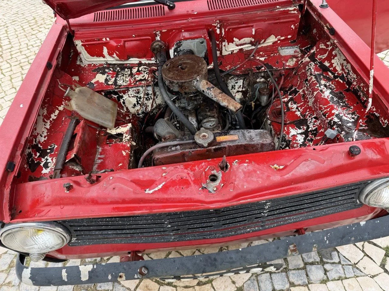 IMG_9684 – grande.jpeg