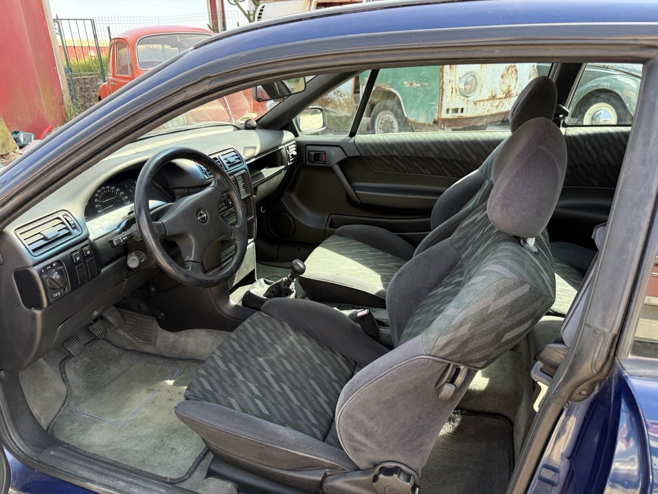 IMG_2392 – grande.jpeg