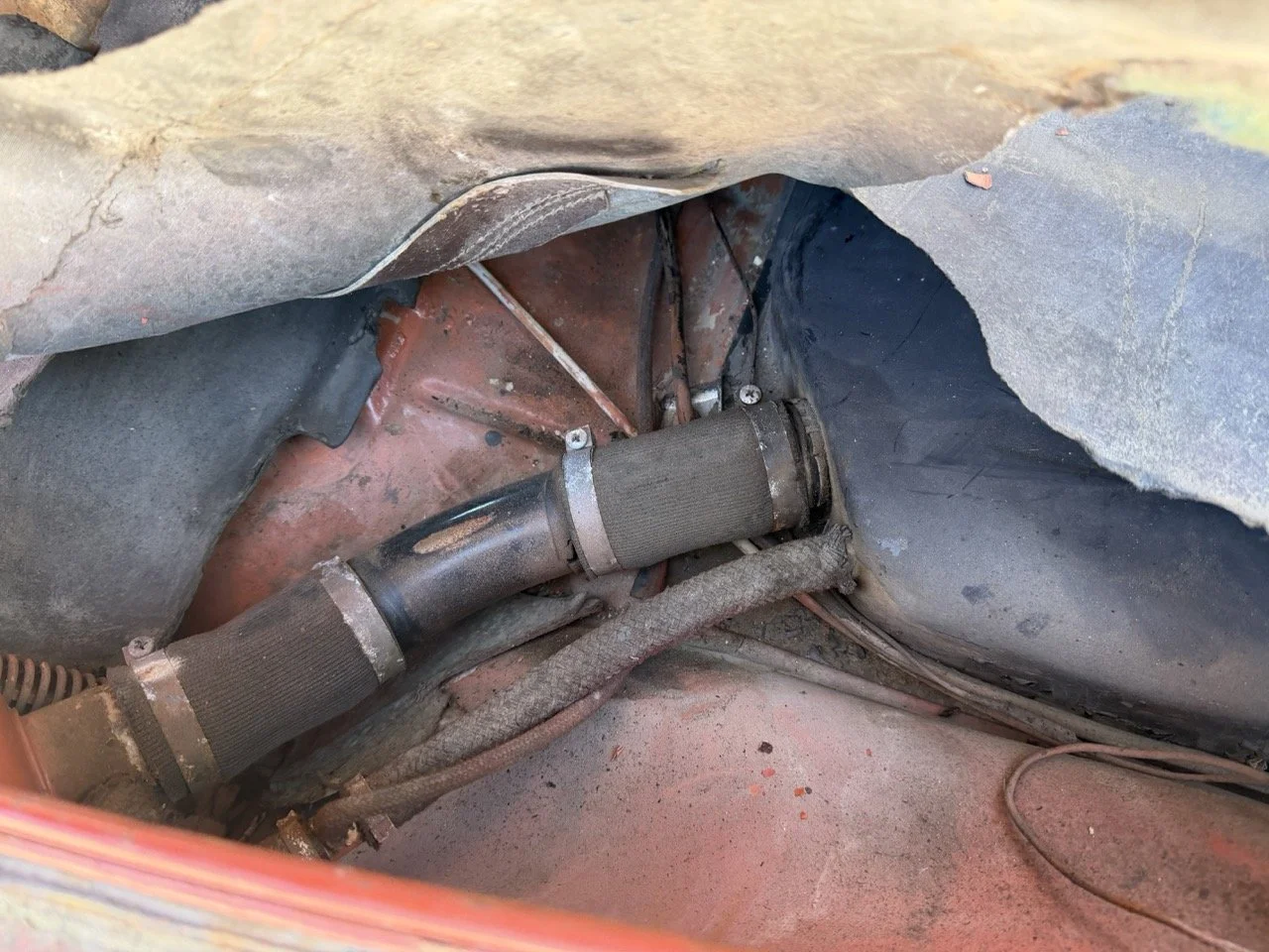 IMG_7562 – grande.jpeg