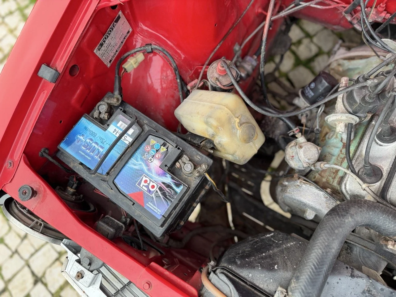 IMG_8261 – grande.jpeg