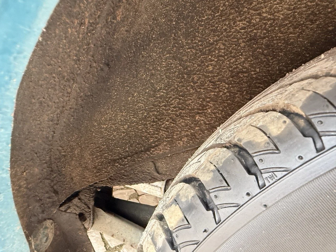 IMG_6346 – grande.jpeg