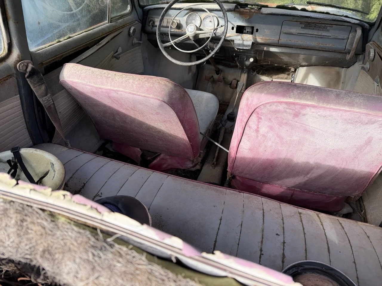 IMG_8569 – grande.jpeg