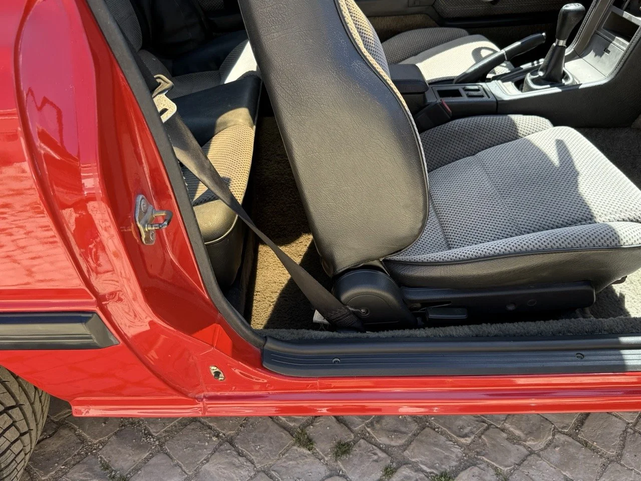 IMG_2067 – grande.jpeg