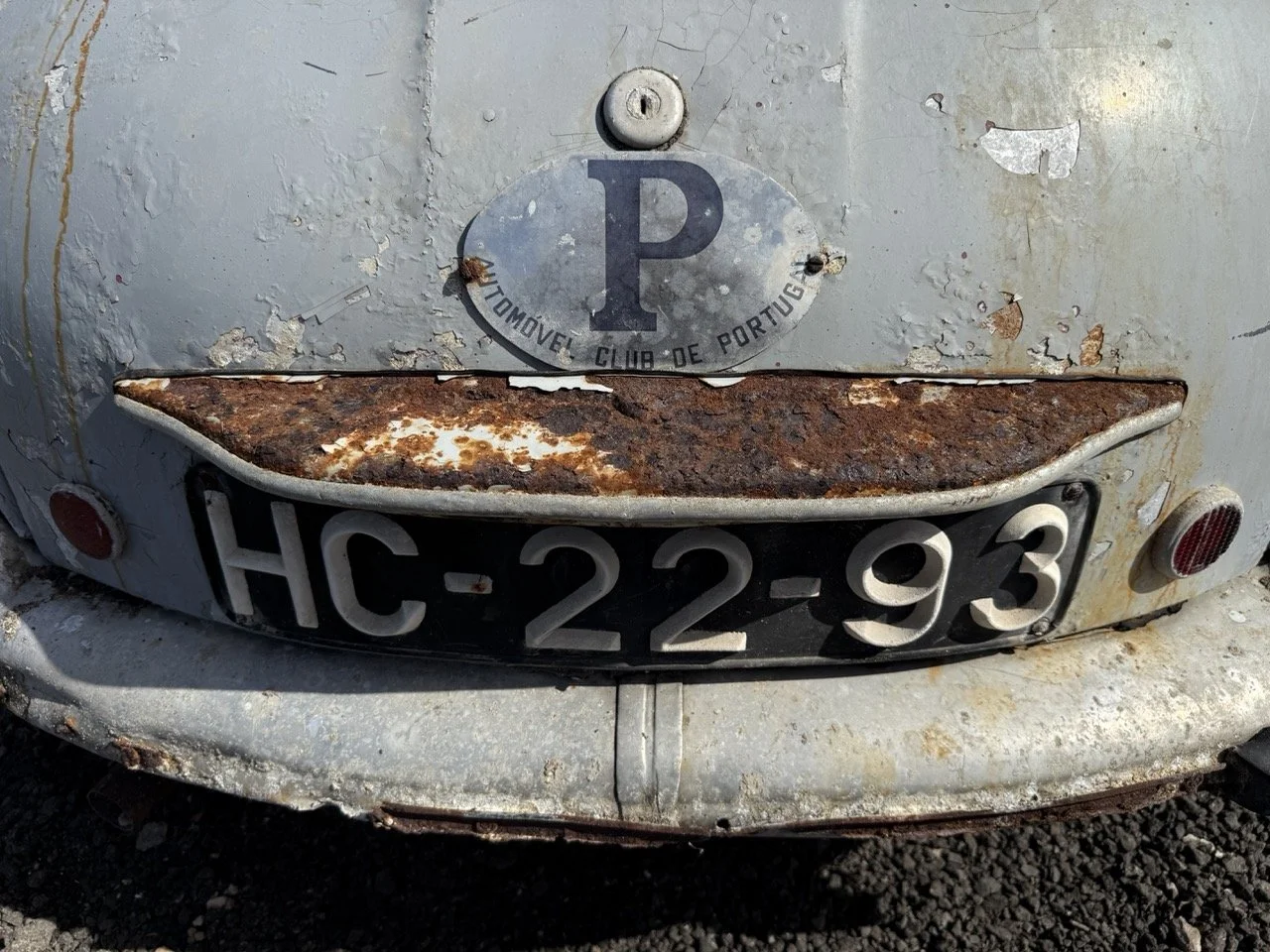 IMG_0328 – grande.jpeg