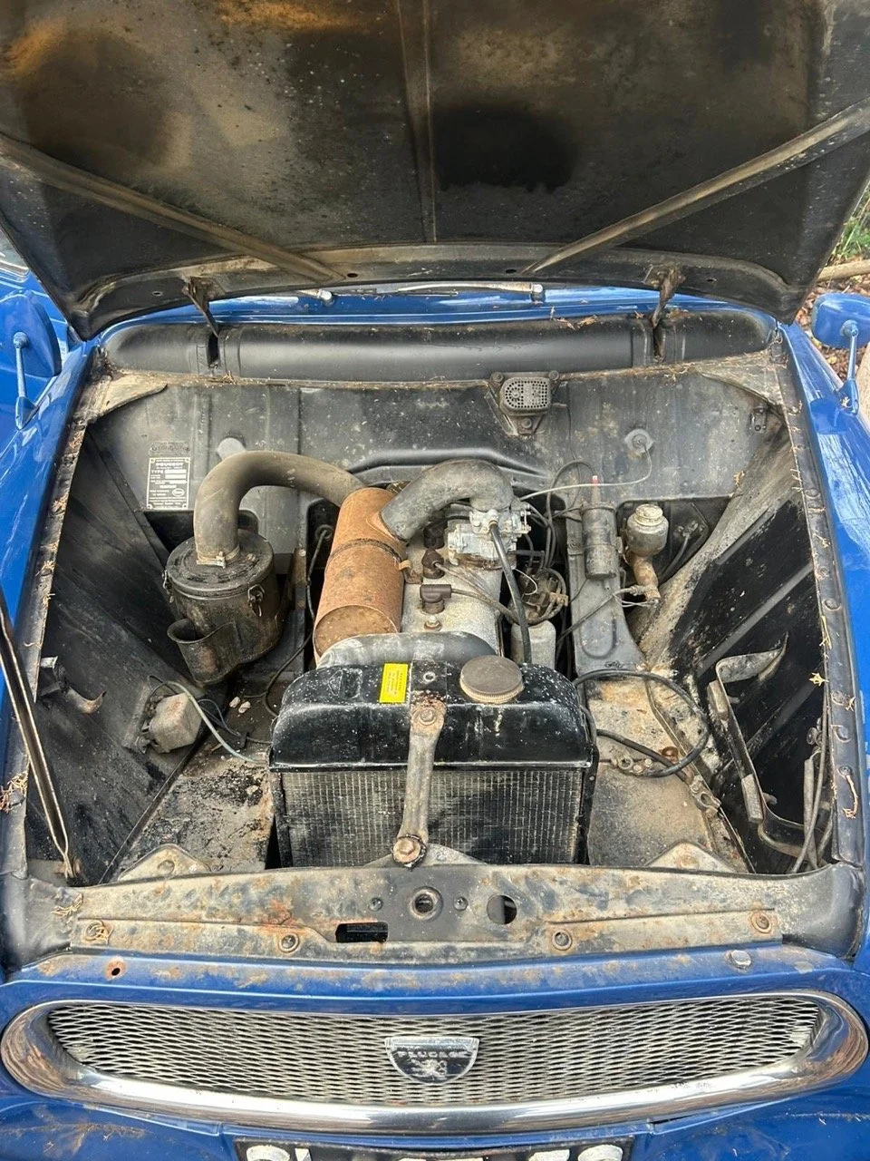 d9d12383-85f5-4c8c-90d0-31096effb5c6 – grande.jpeg