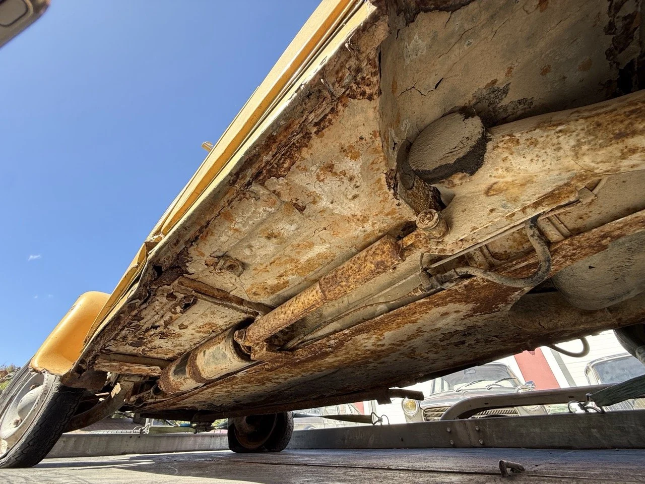 IMG_9127 – grande.jpeg