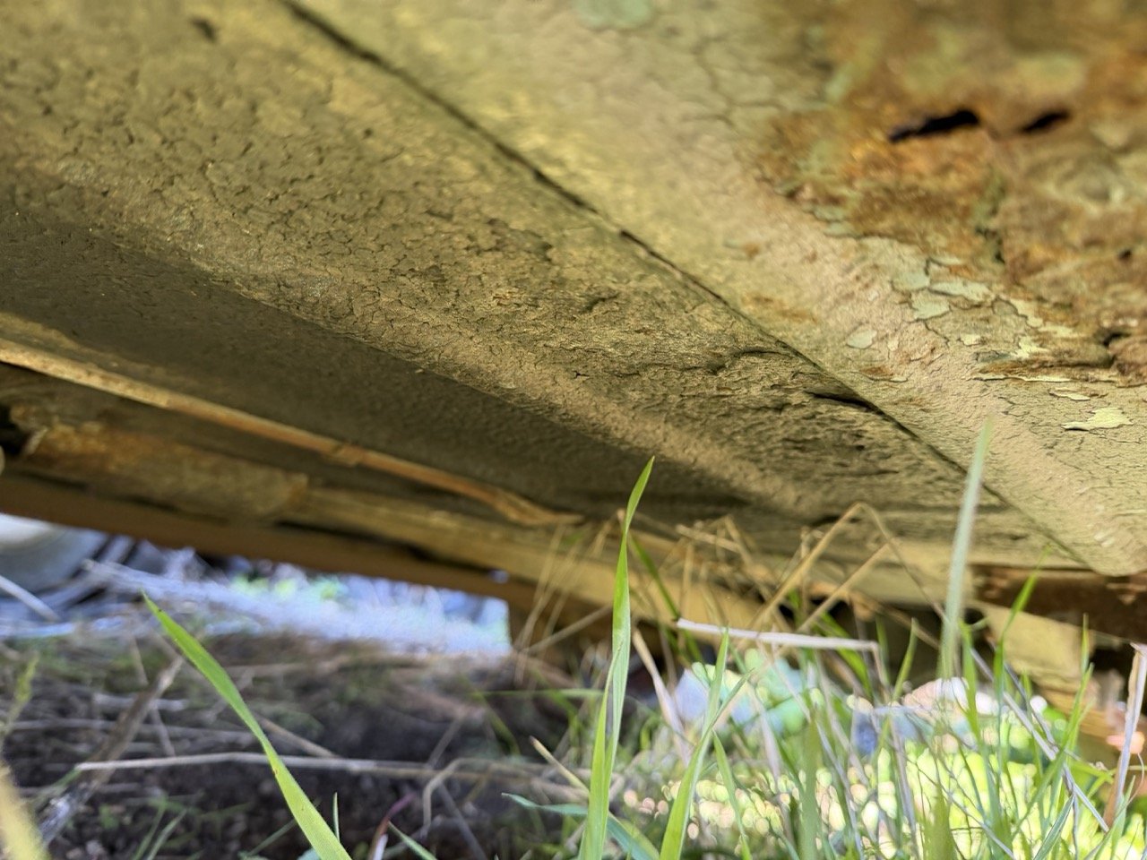 IMG_2536 – grande.jpeg