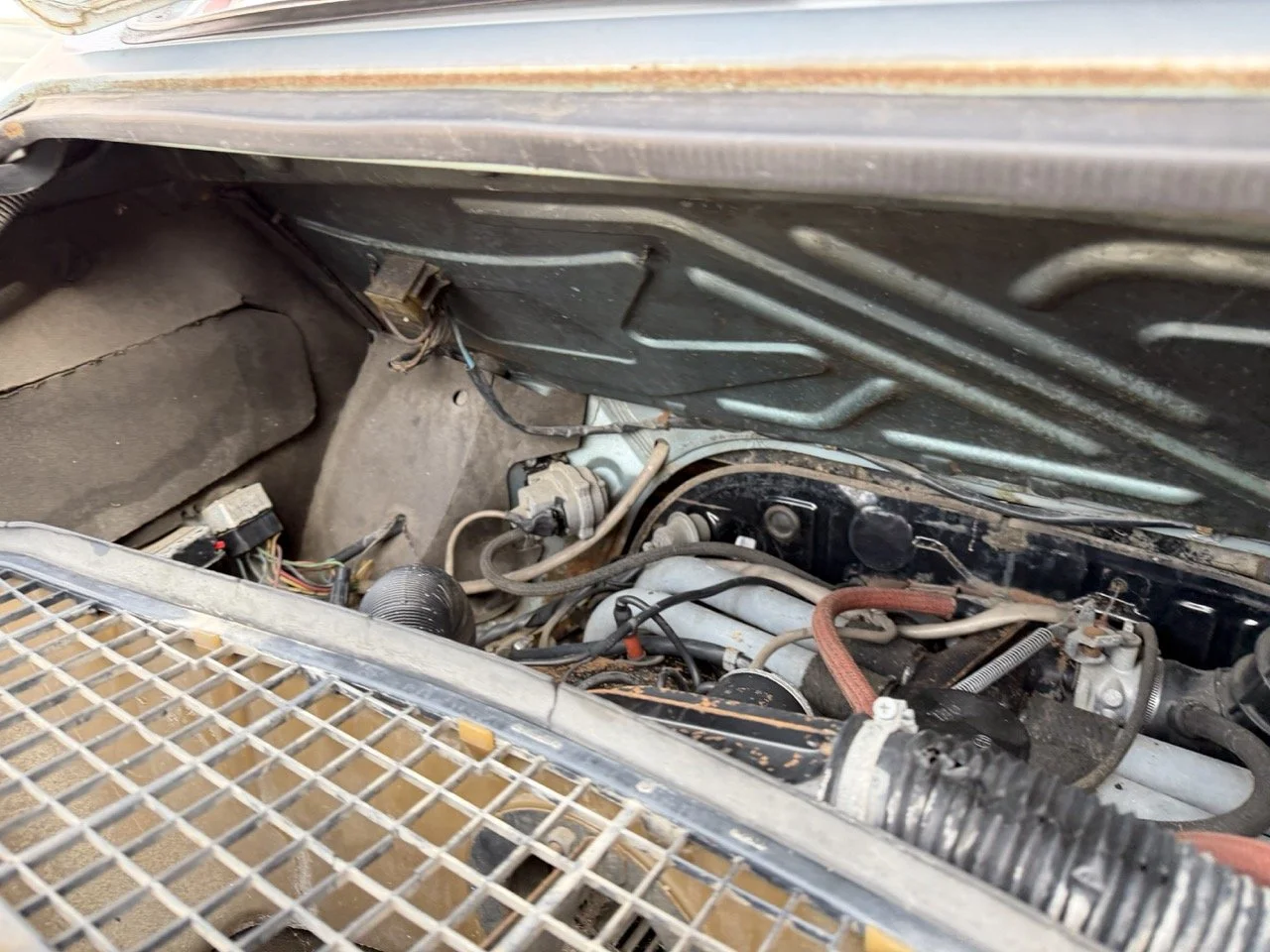 IMG_4801 – grande.jpeg