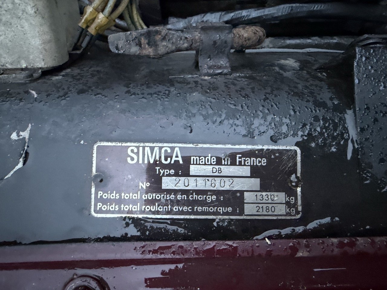 IMG_0311 – grande.jpeg