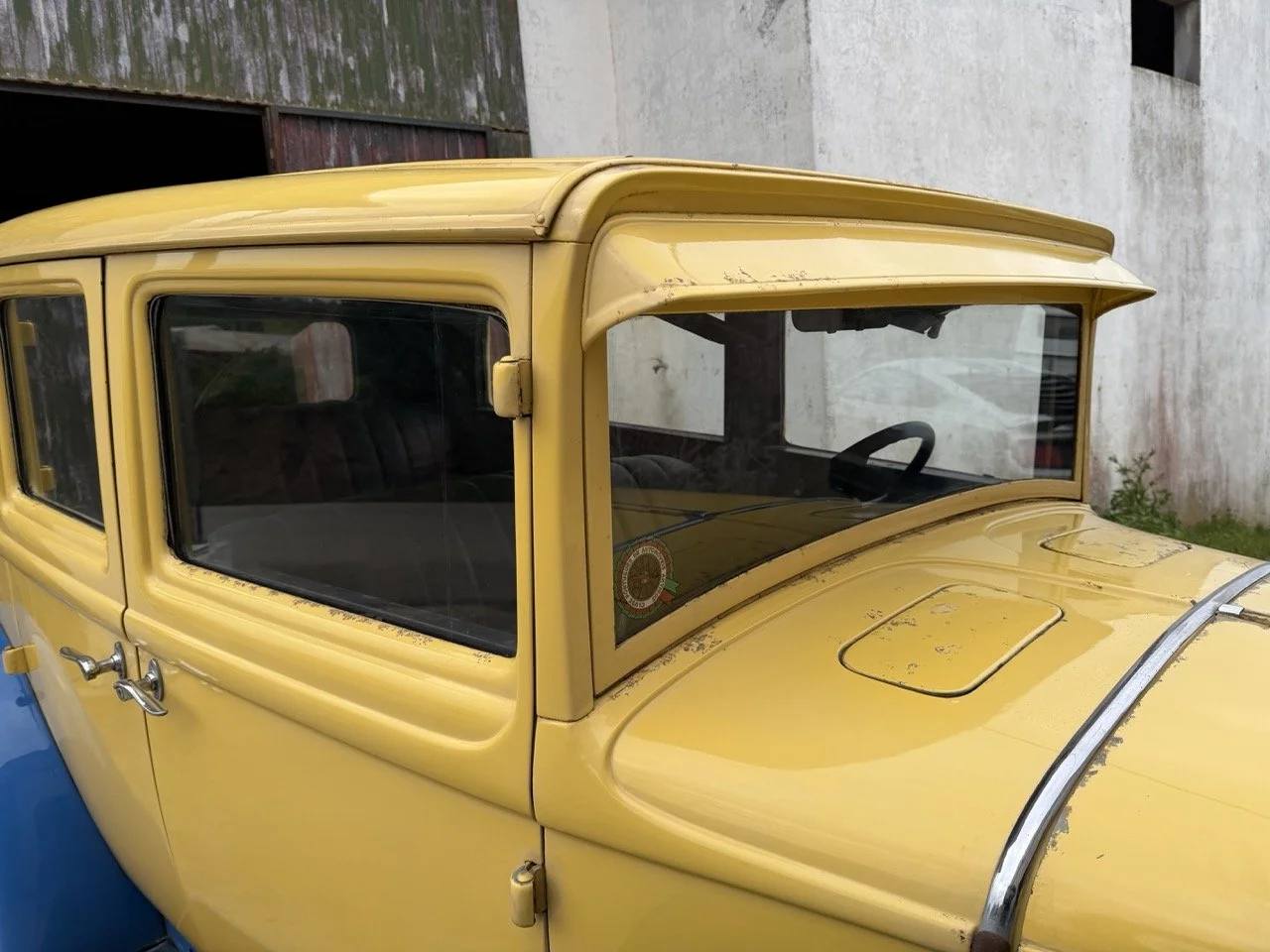 IMG_1584 – grande.jpeg