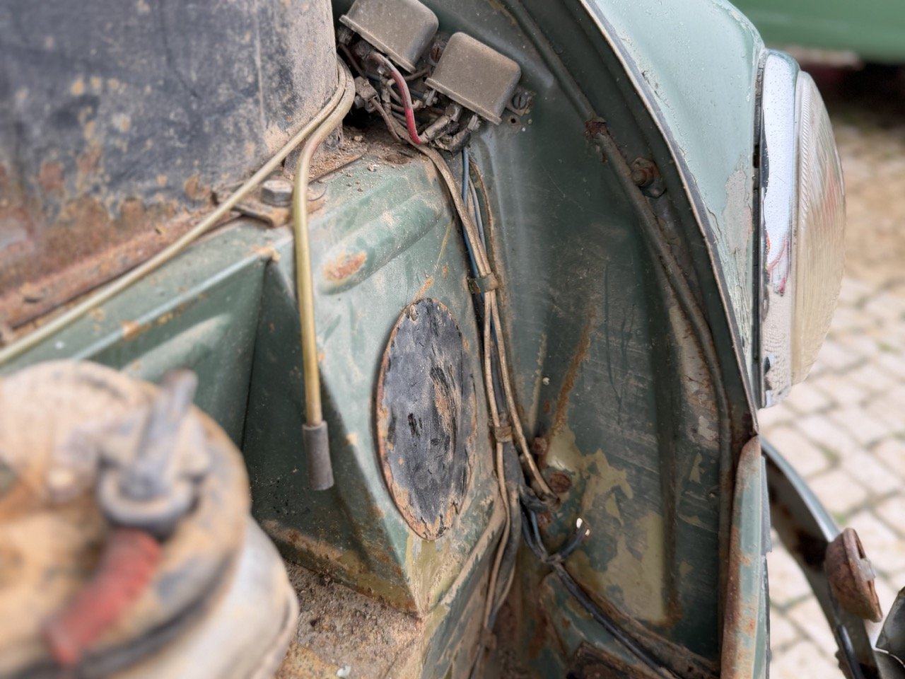 IMG_1181 – grande.jpeg