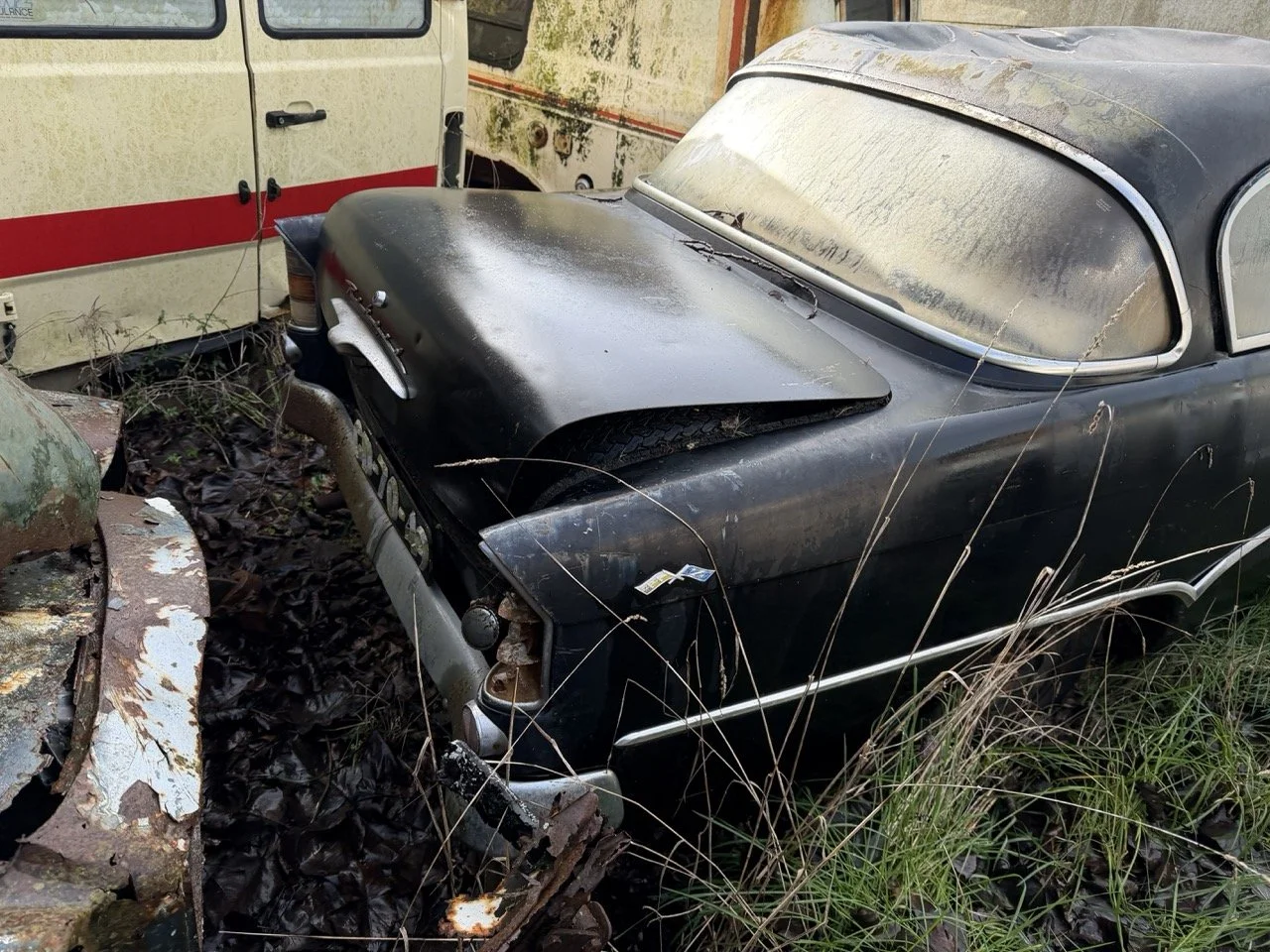 IMG_5047 – grande.jpeg