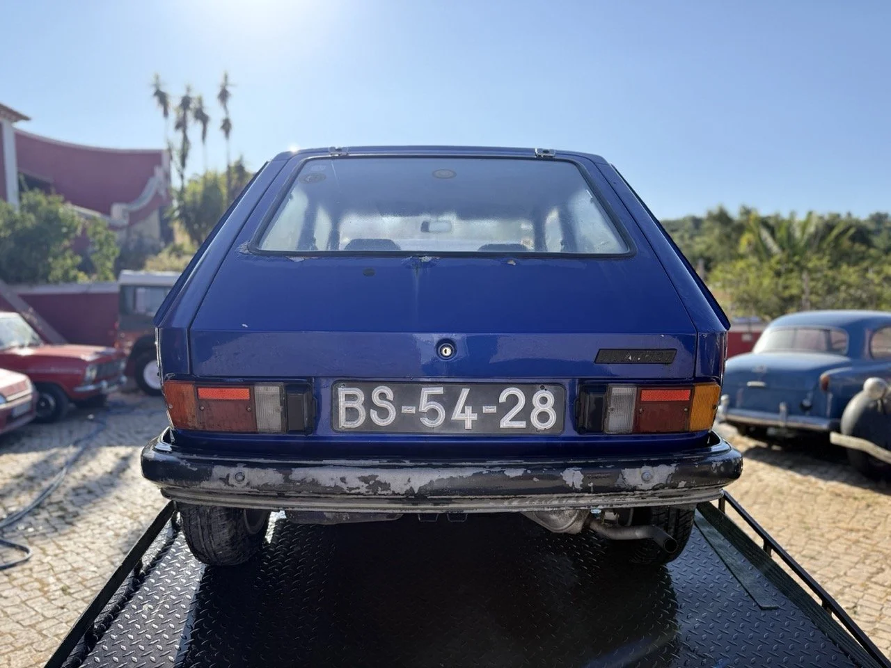 IMG_2254 – grande.jpeg